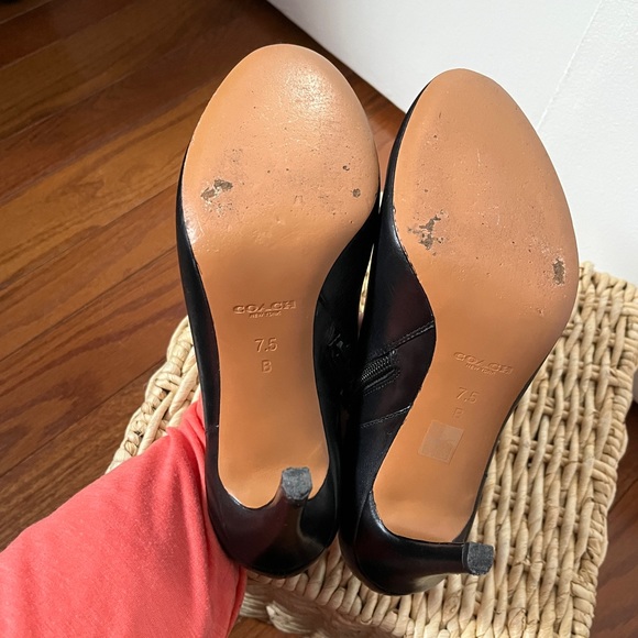 Coach 7.5 - Picture 5 of 5